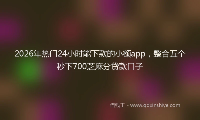 2026年热门24小时能下款的小额app，整合五个秒下700芝麻分贷款口子