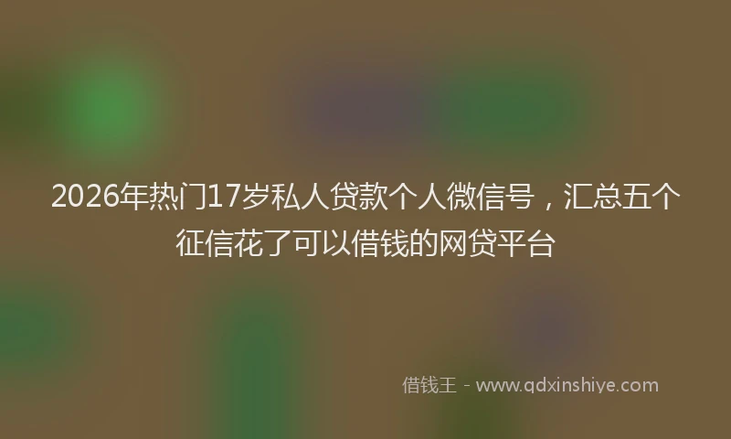 2026年热门17岁私人贷款个人微信号，汇总五个征信花了可以借钱的网贷平台