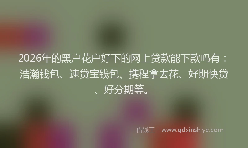 2026年的黑户花户好下的网上贷款能下款吗有：浩瀚钱包、速贷宝钱包、携程拿去花、好期快贷、好分期等。