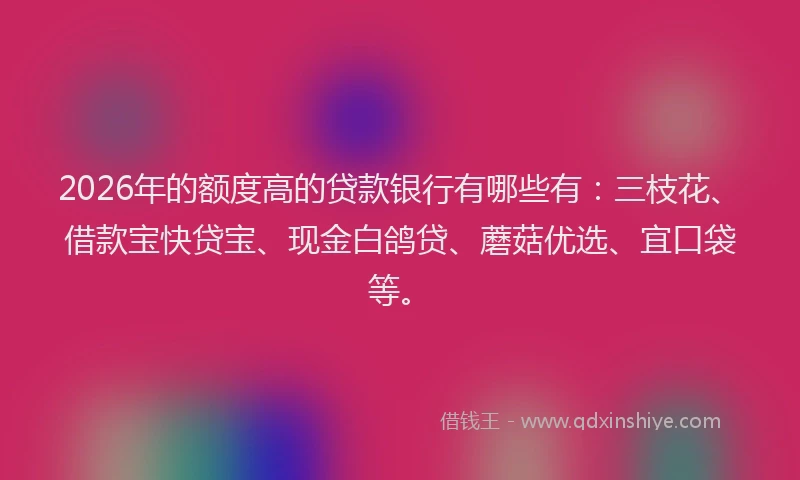 2026年的额度高的贷款银行有哪些有：三枝花、借款宝快贷宝、现金白鸽贷、蘑菇优选、宜口袋等。