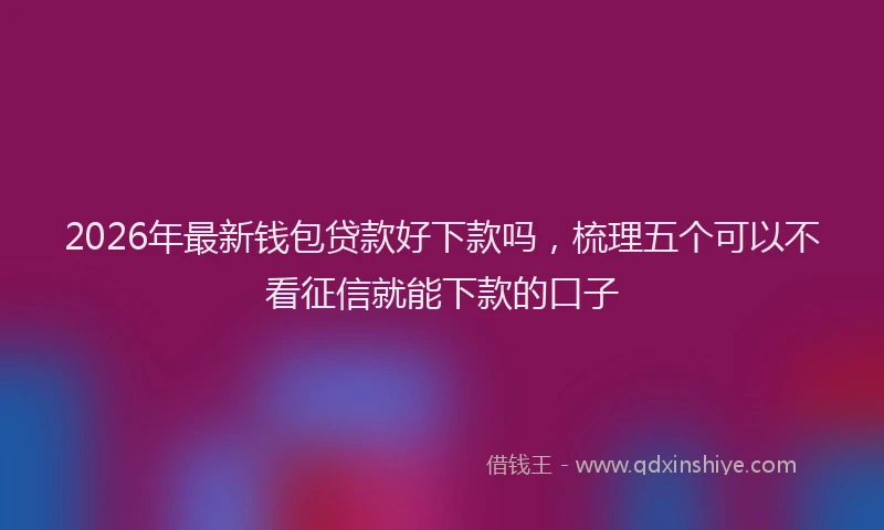 2026年最新钱包贷款好下款吗，梳理五个可以不看征信就能下款的口子