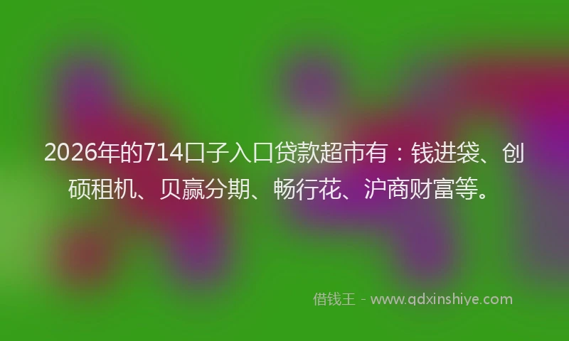 2026年的714口子入口贷款超市有：钱进袋、创硕租机、贝赢分期、畅行花、沪商财富等。