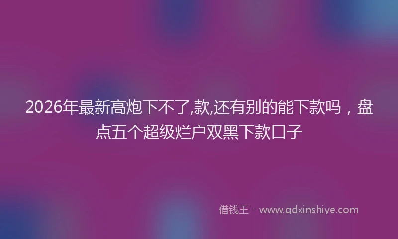 2026年最新高炮下不了,款,还有别的能下款吗，盘点五个超级烂户双黑下款口子