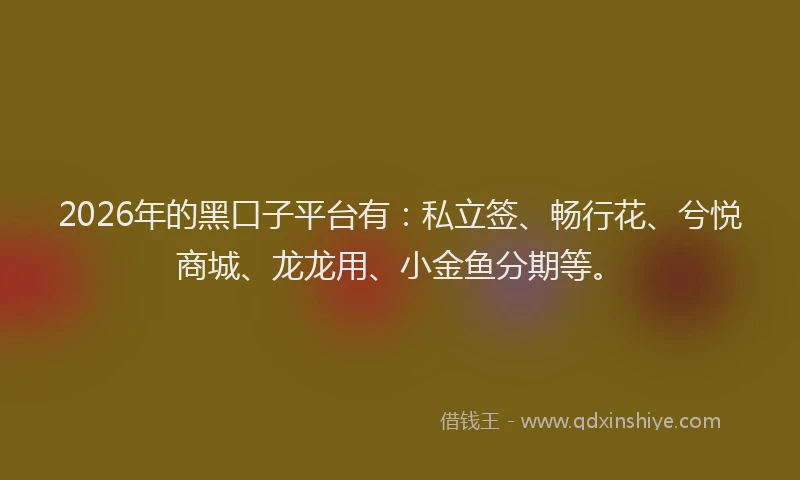 2026年的黑口子平台有：私立签、畅行花、兮悦商城、龙龙用、小金鱼分期等。