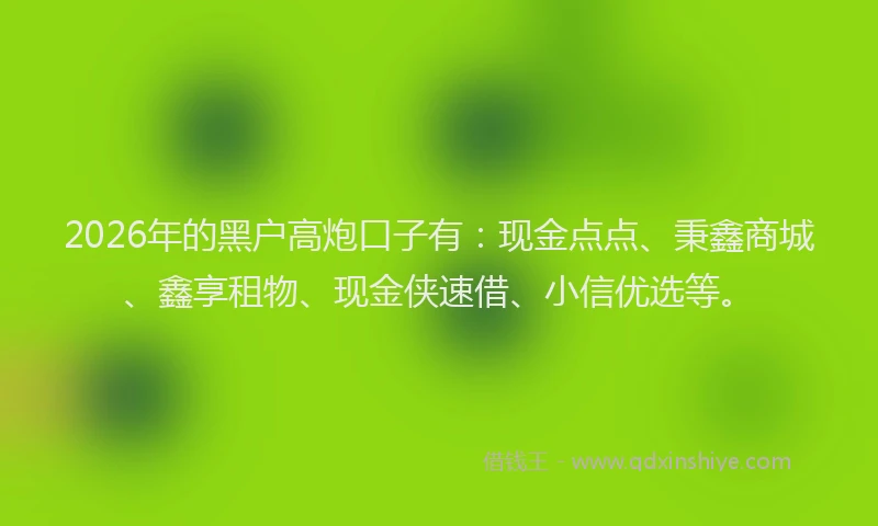 2026年的黑户高炮口子有：现金点点、秉鑫商城、鑫享租物、现金侠速借、小信优选等。