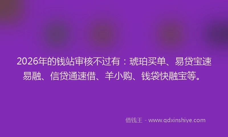 2026年的钱站审核不过有：琥珀买单、易贷宝速易融、信贷通速借、羊小购、钱袋快融宝等。