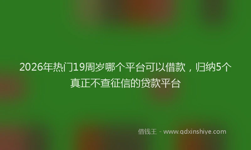 2026年热门19周岁哪个平台可以借款，归纳5个真正不查征信的贷款平台