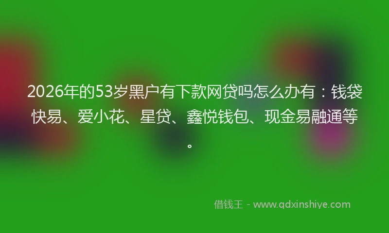 2026年的53岁黑户有下款网贷吗怎么办有：钱袋快易、爱小花、星贷、鑫悦钱包、现金易融通等。