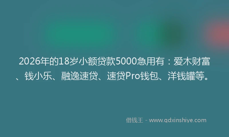 2026年的18岁小额贷款5000急用有：爱木财富、钱小乐、融逸速贷、速贷Pro钱包、洋钱罐等。