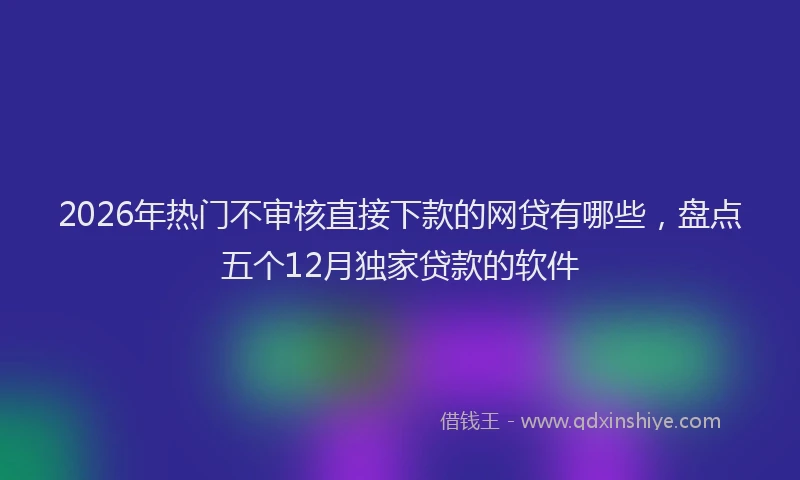 2026年热门不审核直接下款的网贷有哪些，盘点五个12月独家贷款的软件