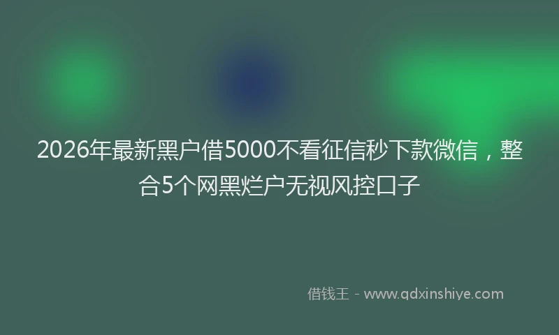 2026年最新黑户借5000不看征信秒下款微信，整合5个网黑烂户无视风控口子