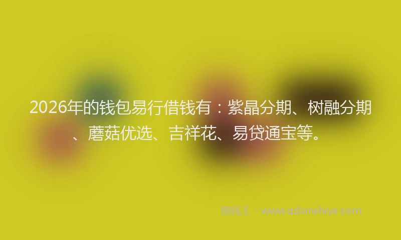 2026年的钱包易行借钱有：紫晶分期、树融分期、蘑菇优选、吉祥花、易贷通宝等。