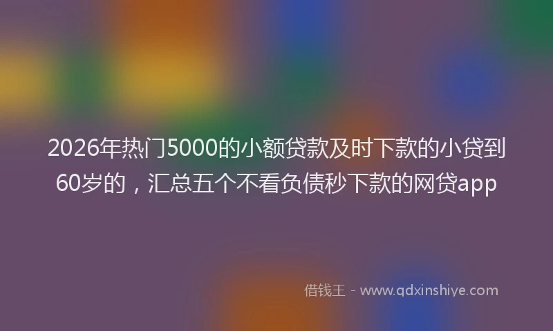 2026年热门5000的小额贷款及时下款的小贷到60岁的，汇总五个不看负债秒下款的网贷app