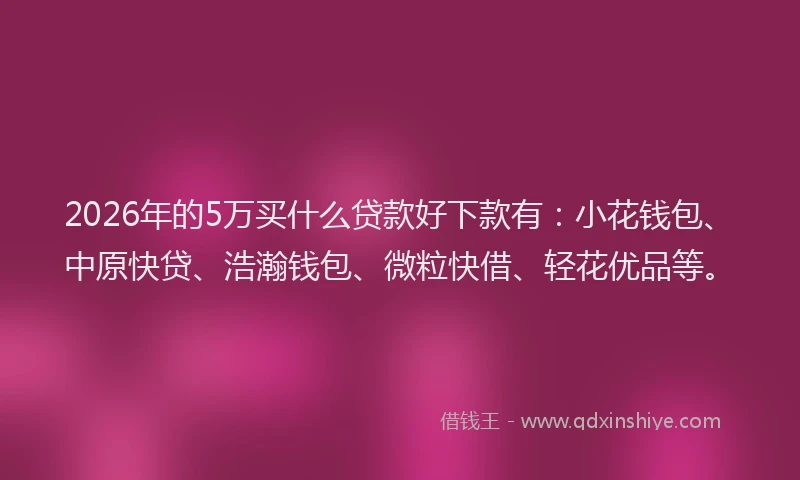 2026年的5万买什么贷款好下款有：小花钱包、中原快贷、浩瀚钱包、微粒快借、轻花优品等。