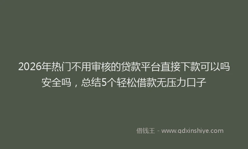 2026年热门不用审核的贷款平台直接下款可以吗安全吗，总结5个轻松借款无压力口子