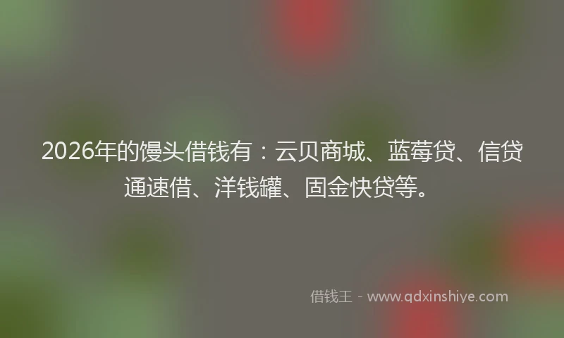 2026年的馒头借钱有：云贝商城、蓝莓贷、信贷通速借、洋钱罐、固金快贷等。
