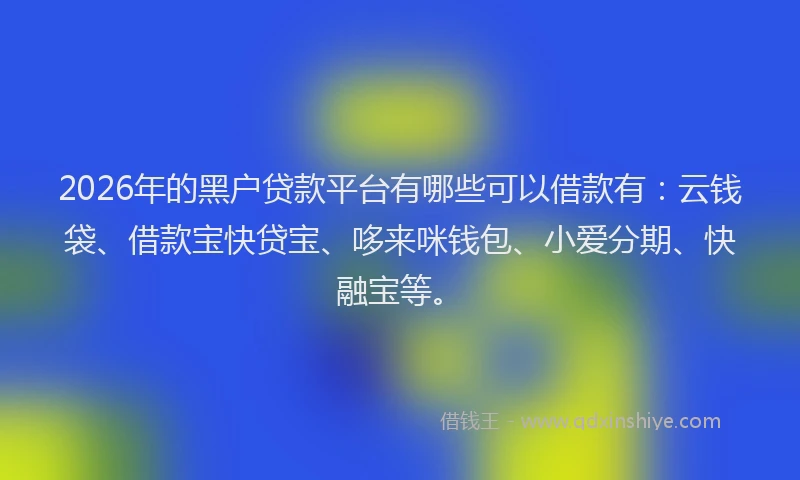2026年的黑户贷款平台有哪些可以借款有：云钱袋、借款宝快贷宝、哆来咪钱包、小爱分期、快融宝等。