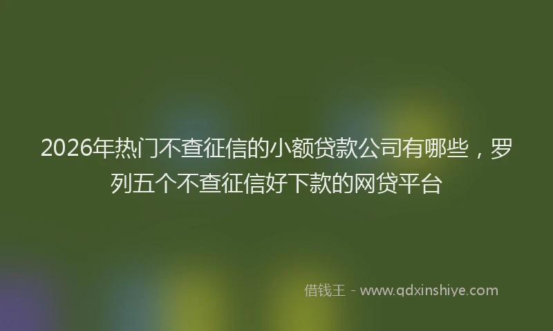 2026年热门不查征信的小额贷款公司有哪些，罗列五个不查征信好下款的网贷平台
