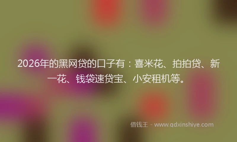 2026年的黑网贷的口子有：喜米花、拍拍贷、新一花、钱袋速贷宝、小安租机等。