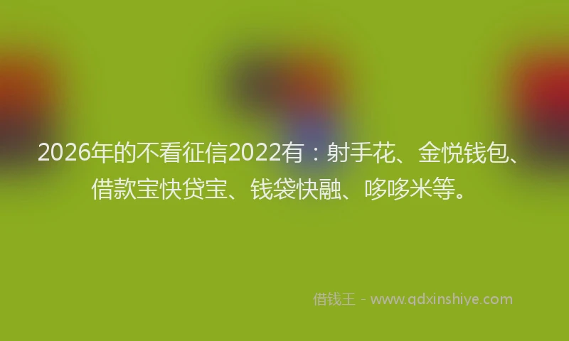 2026年的不看征信2022有：射手花、金悦钱包、借款宝快贷宝、钱袋快融、哆哆米等。