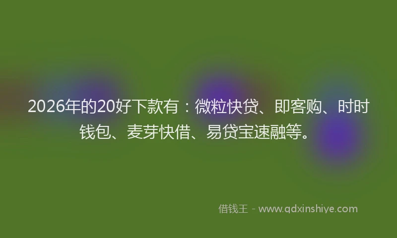 2026年的20好下款有：微粒快贷、即客购、时时钱包、麦芽快借、易贷宝速融等。