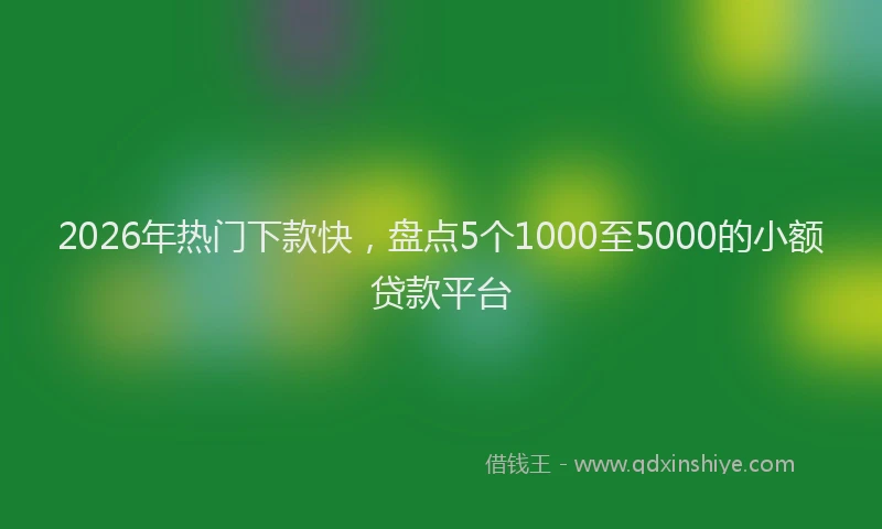 2026年热门下款快，盘点5个1000至5000的小额贷款平台