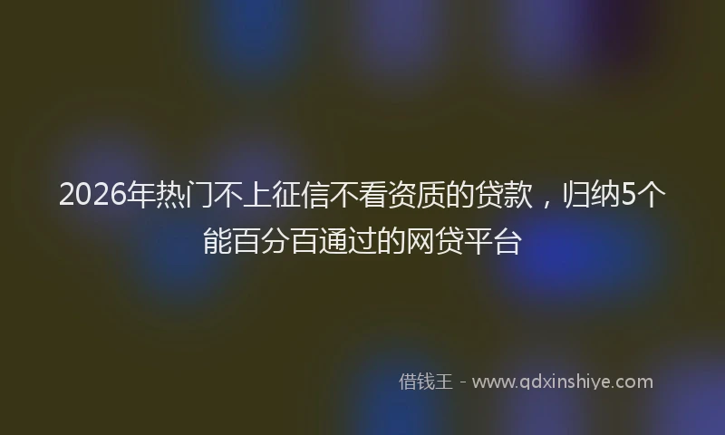 2026年热门不上征信不看资质的贷款，归纳5个能百分百通过的网贷平台