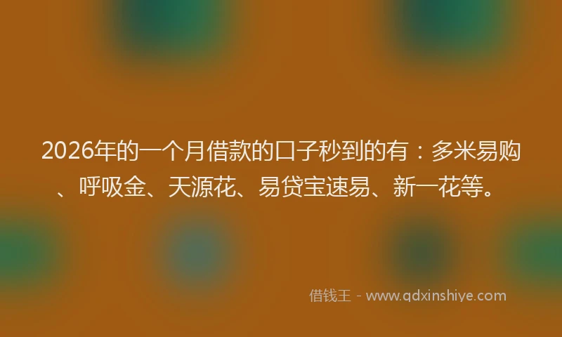 2026年的一个月借款的口子秒到的有：多米易购、呼吸金、天源花、易贷宝速易、新一花等。