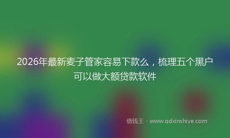 2026年最新麦子管家容易下款么，梳理五个黑户可以做大额贷款软件