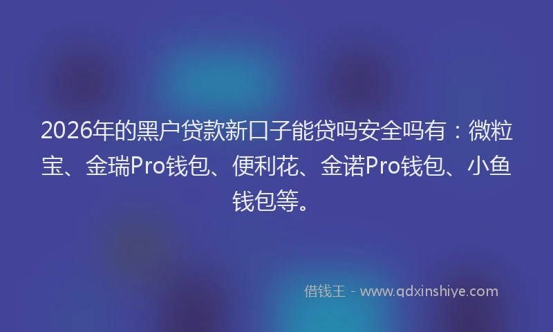 2026年的黑户贷款新口子能贷吗安全吗有：微粒宝、金瑞Pro钱包、便利花、金诺Pro钱包、小鱼钱包等。