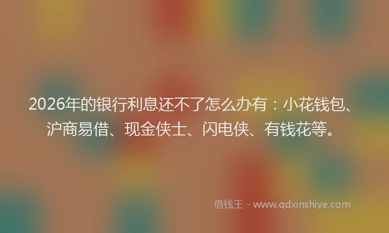 2026年的银行利息还不了怎么办有：小花钱包、沪商易借、现金侠士、闪电侠、有钱花等。