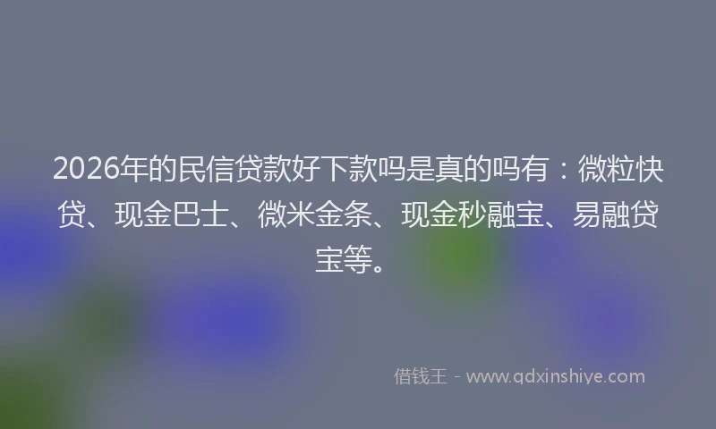 2026年的民信贷款好下款吗是真的吗有：微粒快贷、现金巴士、微米金条、现金秒融宝、易融贷宝等。