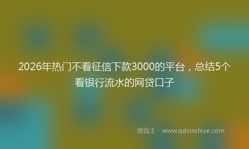 2026年热门不看征信下款3000的平台，总结5个看银行流水的网贷口子