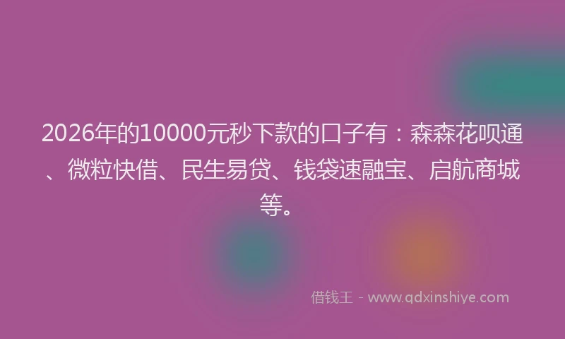 2026年的10000元秒下款的口子有：森森花呗通、微粒快借、民生易贷、钱袋速融宝、启航商城等。