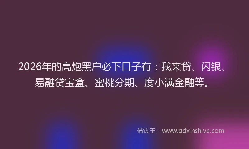 2026年的高炮黑户必下口子有：我来贷、闪银、易融贷宝盒、蜜桃分期、度小满金融等。