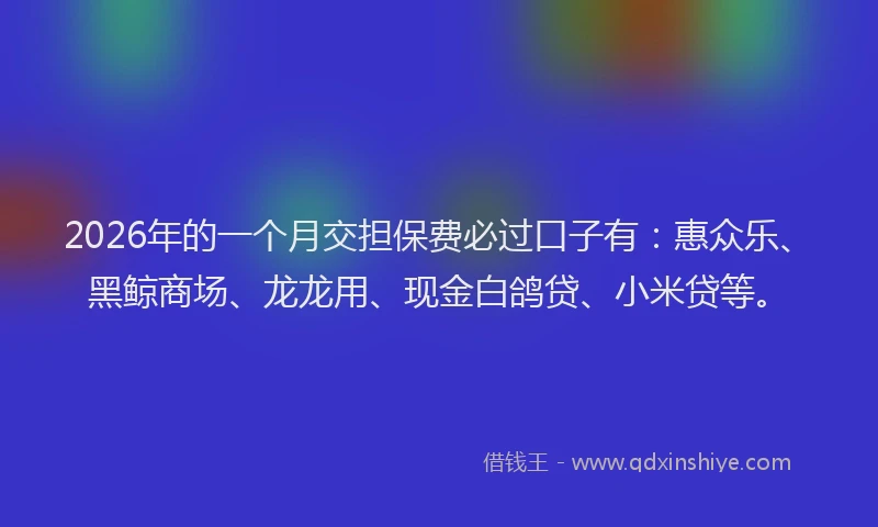 2026年的一个月交担保费必过口子有：惠众乐、黑鲸商场、龙龙用、现金白鸽贷、小米贷等。