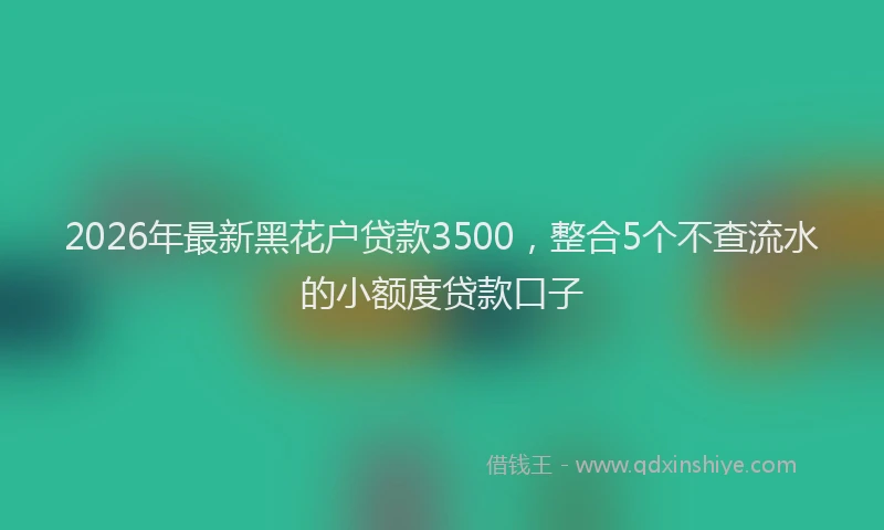 2026年最新黑花户贷款3500，整合5个不查流水的小额度贷款口子