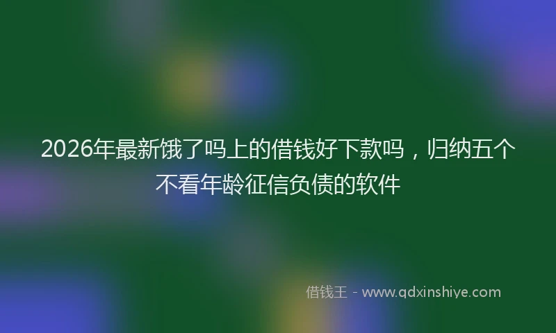 2026年最新饿了吗上的借钱好下款吗，归纳五个不看年龄征信负债的软件