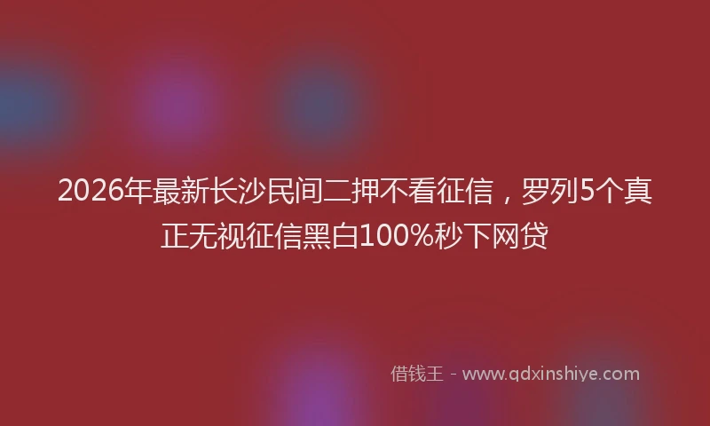 2026年最新长沙民间二押不看征信，罗列5个真正无视征信黑白100%秒下网贷