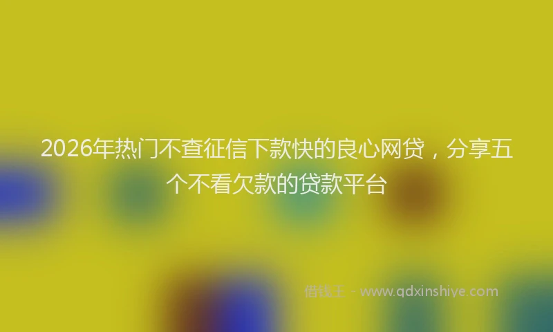 2026年热门不查征信下款快的良心网贷，分享五个不看欠款的贷款平台