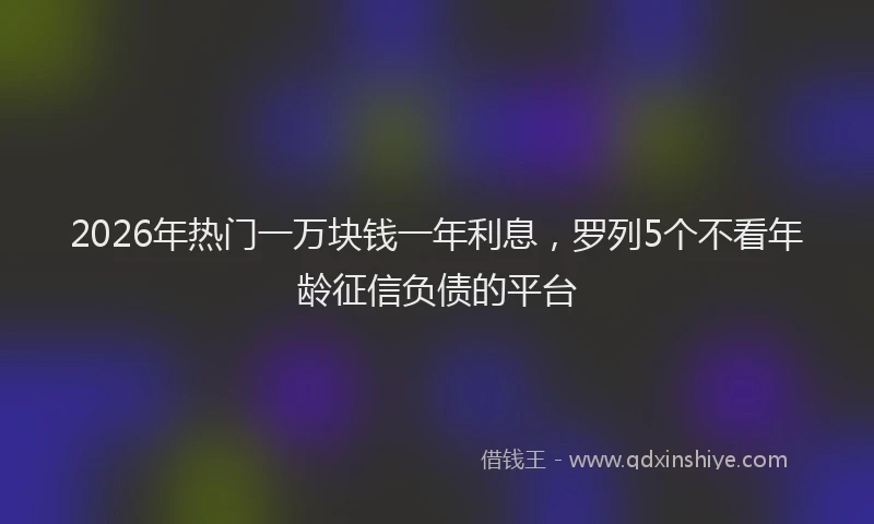 2026年热门一万块钱一年利息，罗列5个不看年龄征信负债的平台