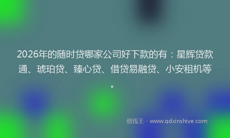 2026年的随时贷哪家公司好下款的有：星辉贷款通、琥珀贷、臻心贷、借贷易融贷、小安租机等。