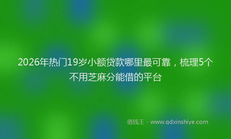 2026年热门19岁小额贷款哪里最可靠，梳理5个不用芝麻分能借的平台