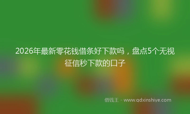2026年最新零花钱借条好下款吗，盘点5个无视征信秒下款的口子