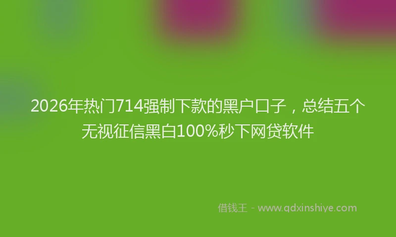 2026年热门714强制下款的黑户口子，总结五个无视征信黑白100%秒下网贷软件
