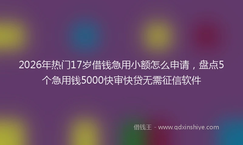 2026年热门17岁借钱急用小额怎么申请，盘点5个急用钱5000快审快贷无需征信软件
