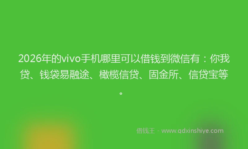 2026年的vivo手机哪里可以借钱到微信有：你我贷、钱袋易融途、橄榄信贷、固金所、信贷宝等。