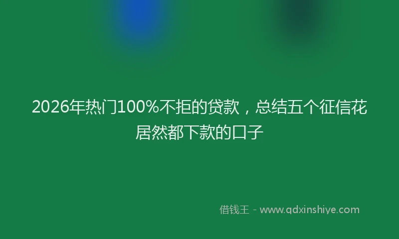 2026年热门100%不拒的贷款，总结五个征信花居然都下款的口子