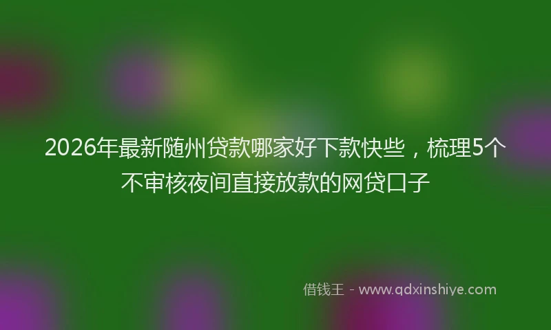 2026年最新随州贷款哪家好下款快些，梳理5个不审核夜间直接放款的网贷口子