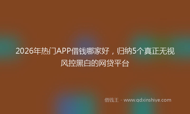 2026年热门APP借钱哪家好，归纳5个真正无视风控黑白的网贷平台